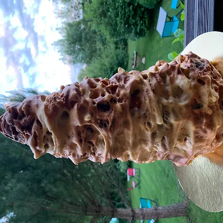 Logis Aux Berges De L'aveyron