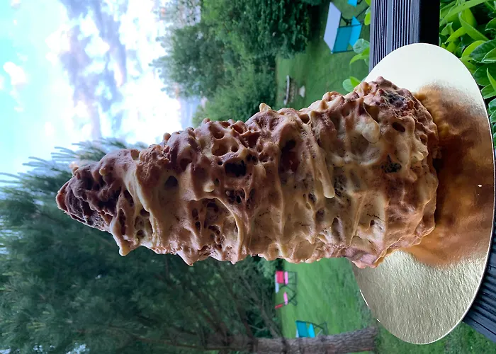 Logis Aux Berges De L'aveyron